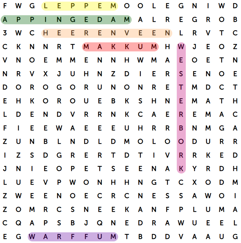 Woordzoeker puzzel voorbeeld