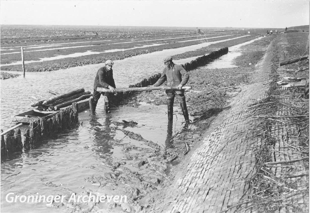 Welke strandganger zoeken wij hier?