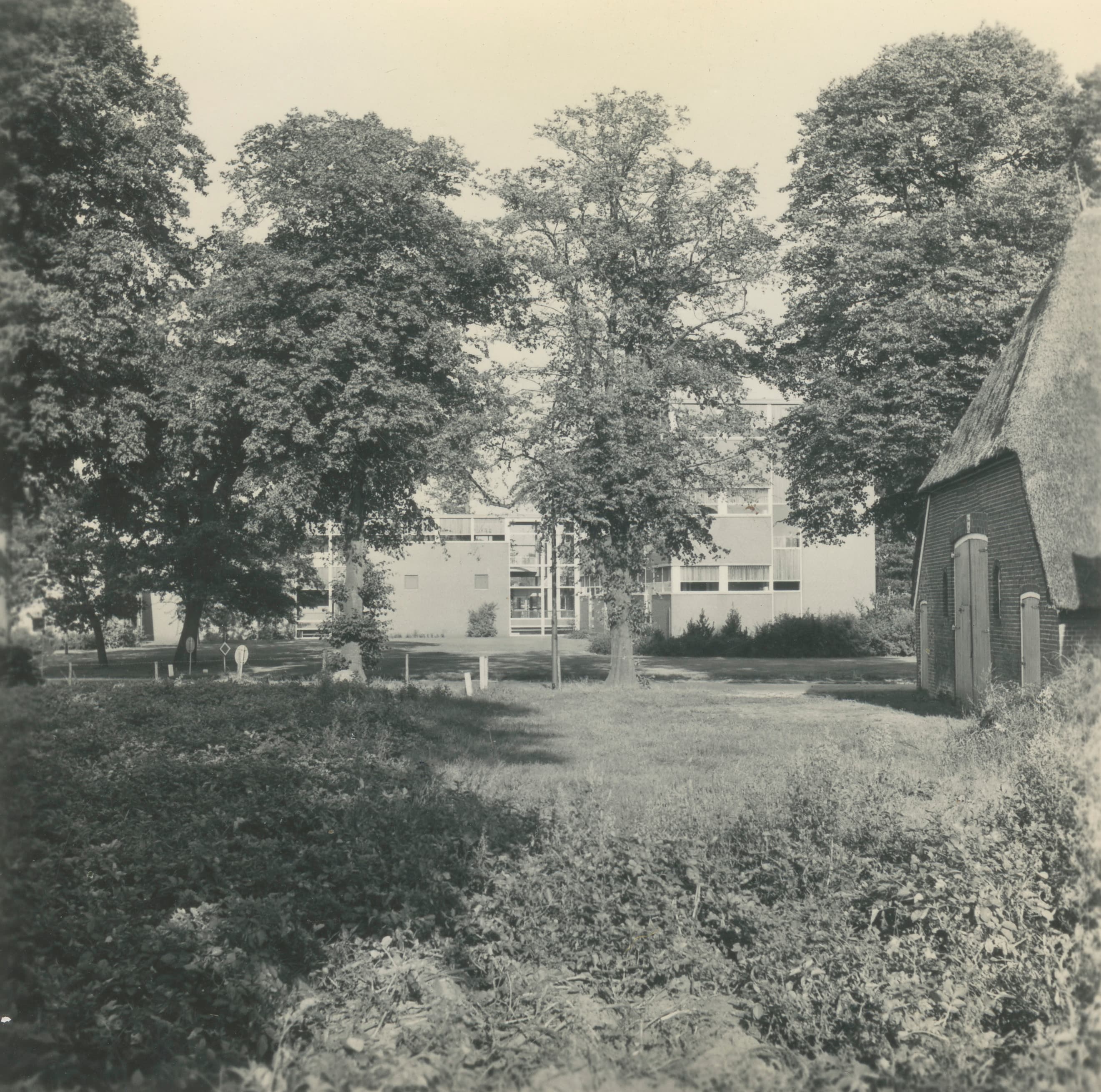 Beilen door de Eeuwen Heen