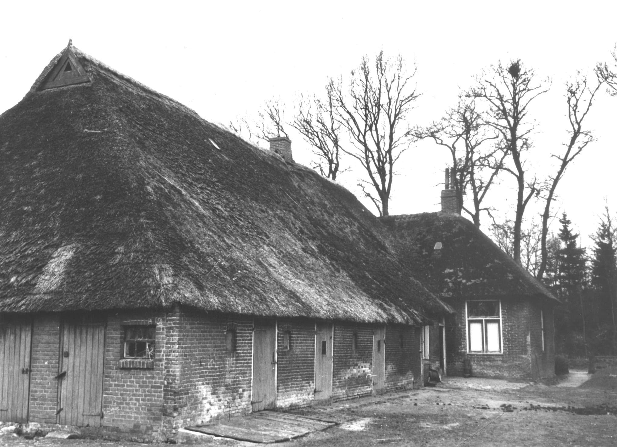 Drents-Friese Wold: Rust, Ruimte en Ongerepte Natuur