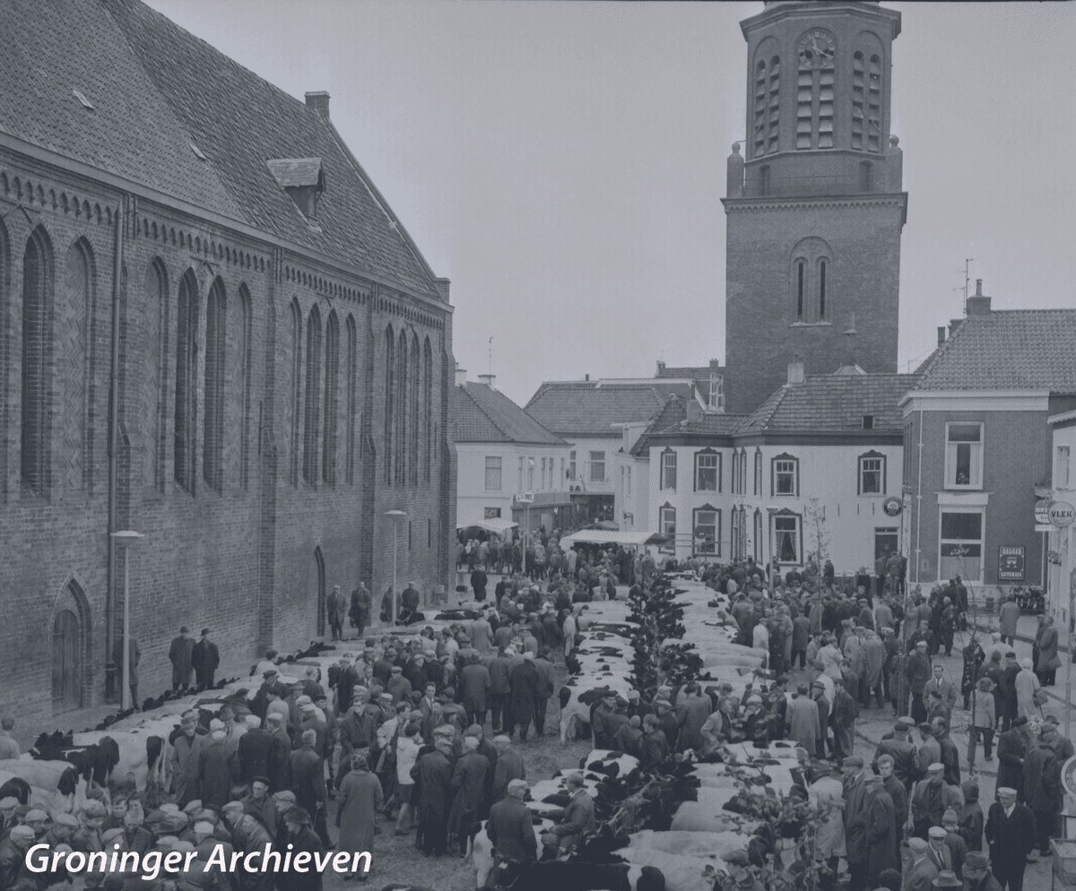 De leukste activiteiten in Noord-Nederland