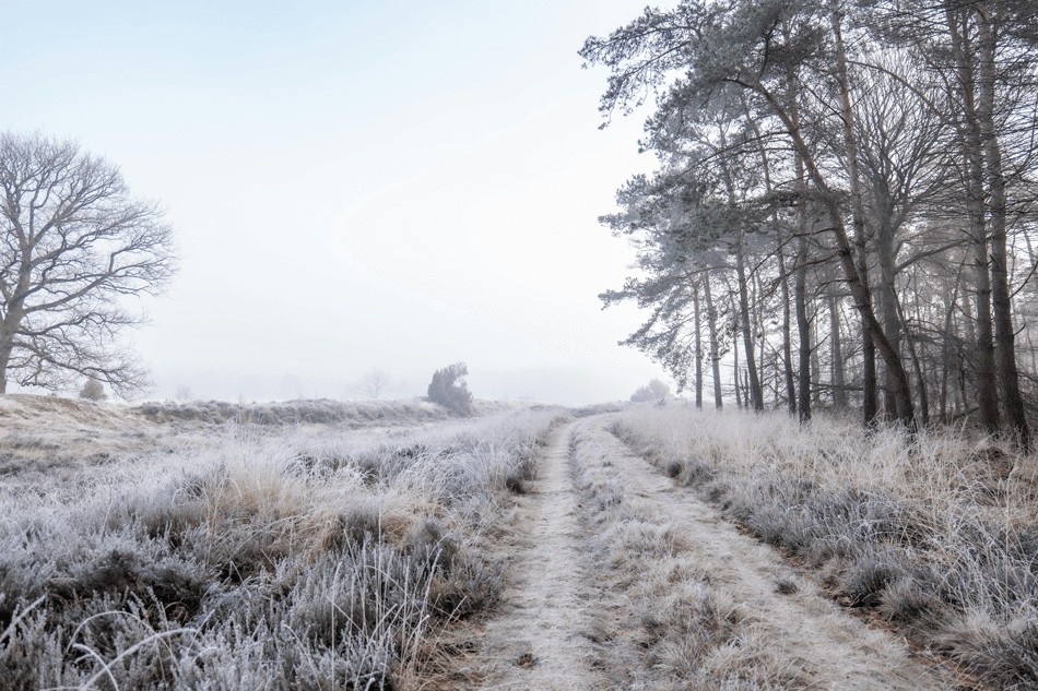 Leuke wandel- en fietsroutes Noord-Nederland