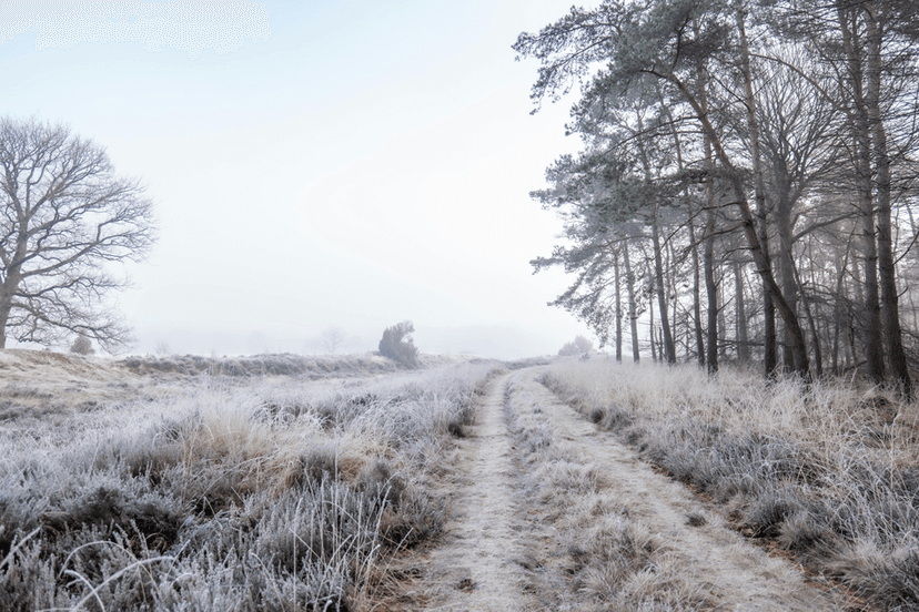Leuke wandel- en fietsroutes Noord-Nederland